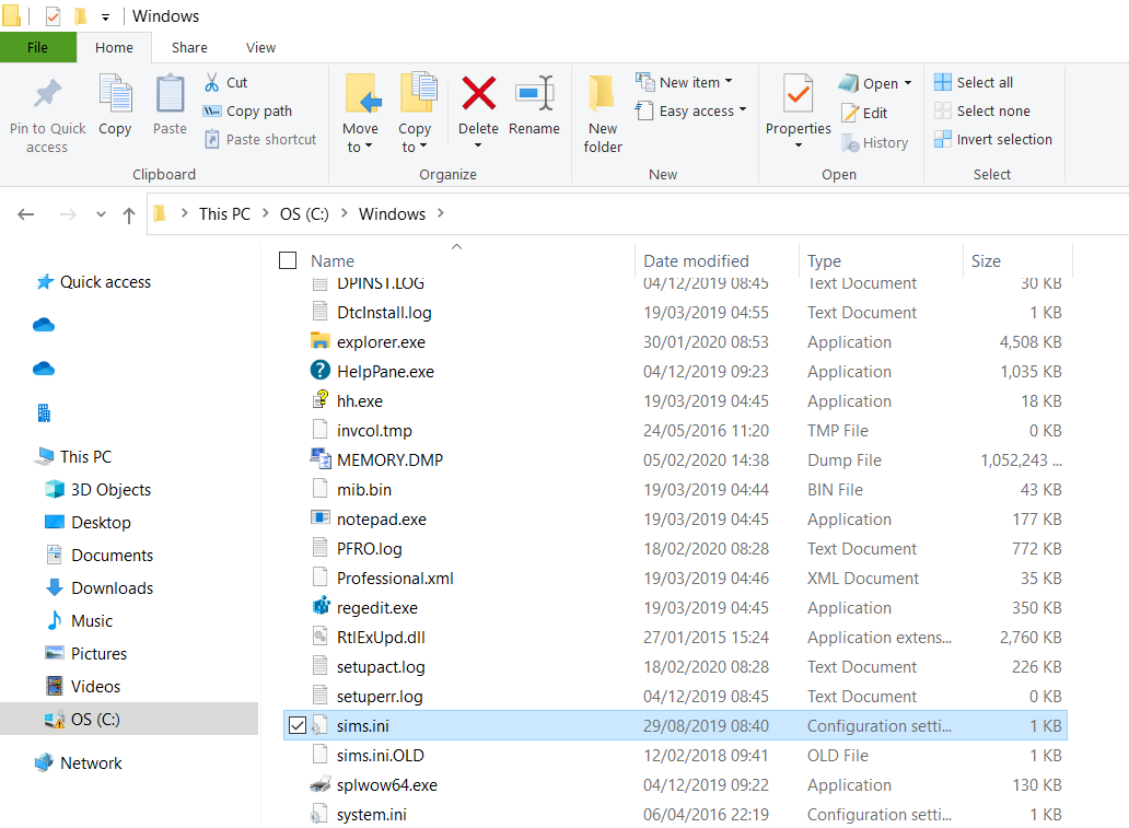 SIMS ini 04
